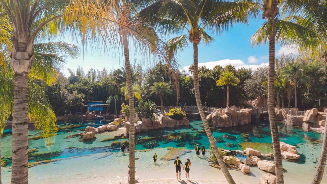 Discovery Cove®