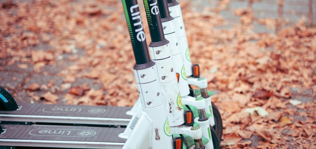 Row of Lime scooters on fallen leaves.