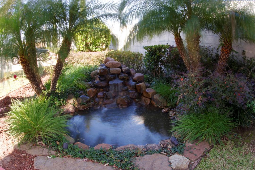 Fountain Area