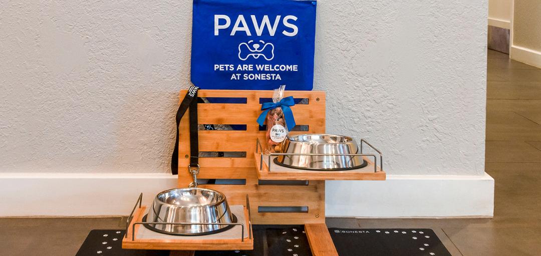 Pet amenities station with food and water bowls.